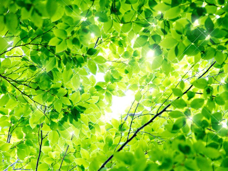 ～サイバーセキュリティの確保のために必要な措置～